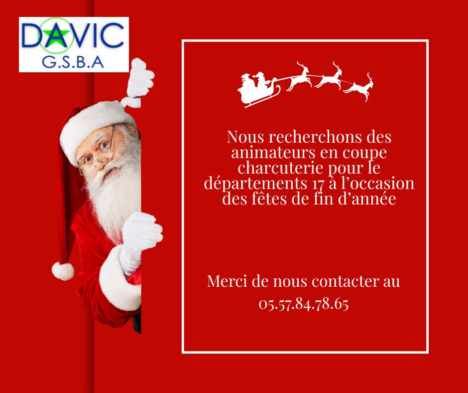Animateur fête de fin d'année dept 17